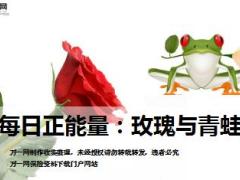 每日正能量玫瑰与青蛙10页.ppt