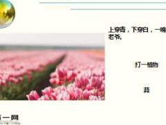 每日快乐早会17年12月8日使用15页.ppt