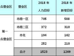 保险公司2018年组织发展方案8页.doc