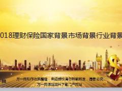 2018理财保险国家背景市场背景行业背景21页.ppt