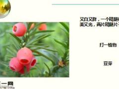 每日快乐早会17年12月11日使用15页.ppt