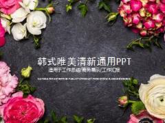 韩式唯美PPT模板22页.pptx