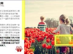 每日保险故事观看比赛6页.ppt