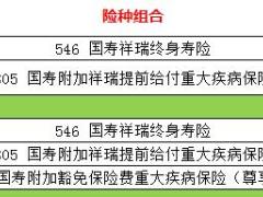 国寿福各种组合搭配表2页.xlsx