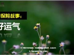 每日保险故事好运气6页.ppt
