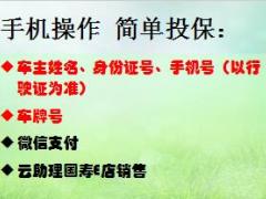 中国人寿短险销售宣导片31页.ppt