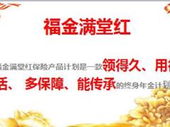 新华福金满堂红组合产品计划宣导片43页.ppt