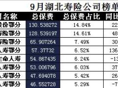 湖北省2017年前9月寿险公司总保费排行榜.xls