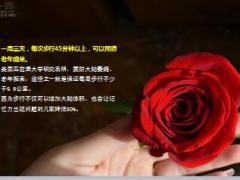 每日健康每天坚持走路百分之99的人没想到竟然这么有效13页.ppt