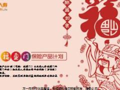 天安人寿福盈门保险产品基本形态介绍43页.ppt
