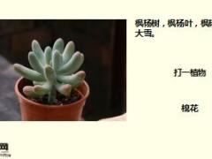 每日快乐早会17年12月18日使用15页.ppt