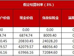 国华鑫意宝年金保险建议书计划书2页.xls