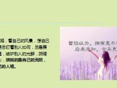 每日鸡汤变得足够优秀这就是努力的意义所在.rar