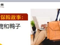 每日保险故事老鹰和鸭子5页.ppt