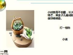 每日快乐早会17年12月19日使用15页.ppt