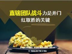 直辖团队战斗力是开门红取胜的关键国寿基本法12页.ppt