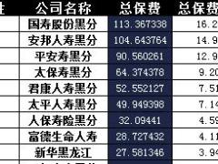 黑龙江省2017年前10月寿险公司总保费排行榜.xls