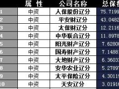 辽宁省2017年前10月财险公司总保费排行榜.xls