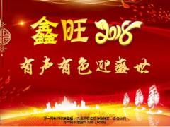 国寿盛世御享有声有色迎盛世产品氛围营造宣导片35页.ppt