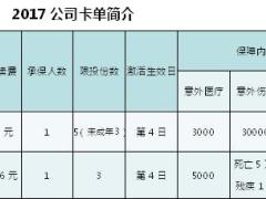 中国人寿2017新意外卡折一览表1页.doc