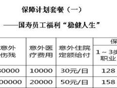 中国人寿员福计划套餐一览表2页.docx