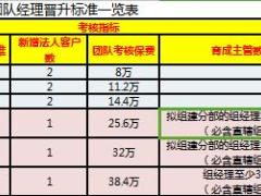国寿基本法主管晋升一览表2页.xls