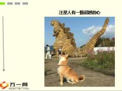 每日快乐早会17年12月21日使用15页.ppt