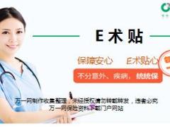 国寿E术贴产品培训课件27页.ppt