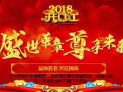 2018养老产说会主讲片国寿盛世尊享版29页.ppt