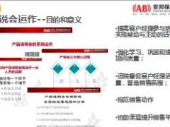 安邦安享3号渠道业务推动流程分享传统业务转型实操与规划29页.ppt