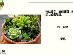每日快乐早会17年12月22日使用15页.ppt