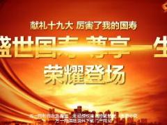 2018开门红国寿盛世尊享产品宣导片23页.ppt