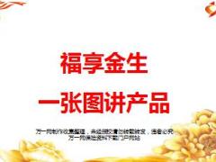 一张图讲新华福享金生13页.ppt