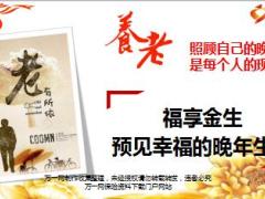新华福享金生A案例之养老篇32页.ppt