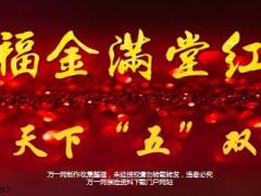 新华保险福金满堂红特色分析11页.ppt
