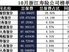 浙江省2017年前10月寿险公司总保费排行榜.xls