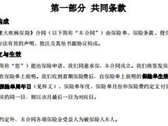 中美联泰大都会人寿天下无疾重大疾病保险条款费率表.rar