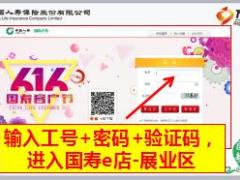 至尊国寿福国寿e店录单操作指引13页.ppt