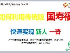 如何利用传统版国寿福快速实现新人一晋投保测算12页.ppt