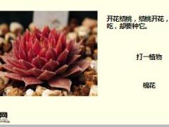 每日快乐早会17年12月26日使用15页.ppt