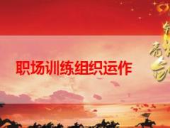保险营销产品职训训练的组织运作国寿版8页.ppt