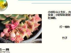 每日快乐早会17年12月27日使用15页.ppt