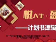 计划书逻辑训练合众悦盈尊享版40页.ppt
