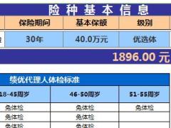 华夏优选1号定期寿险建议书1页.xls