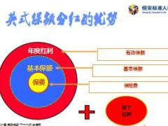 恒安标准珍爱逸生终身年金保险分红型培训课件25页.PPT