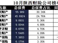 陕西省2017年前10月财险公司总保费排行榜.xls