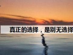 每日鸡汤真正的选择是别无选择.rar