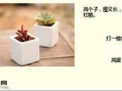 每日快乐早会17年12月28日使用15页.ppt