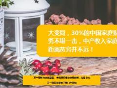 百分之三十中国家庭财务不堪一击20页.ppt