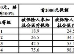 建信人寿附加团体意外伤害医疗保险B款条款费率表.rar